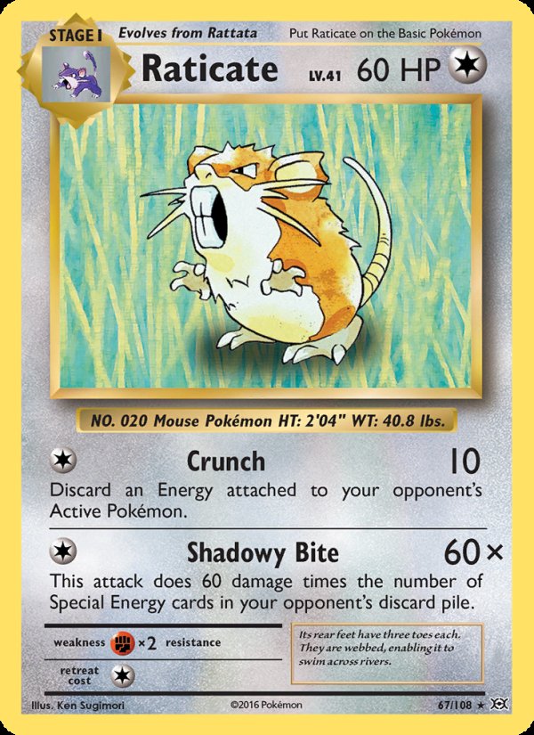 Raticate 67/108 - Evolutions Pokemon card