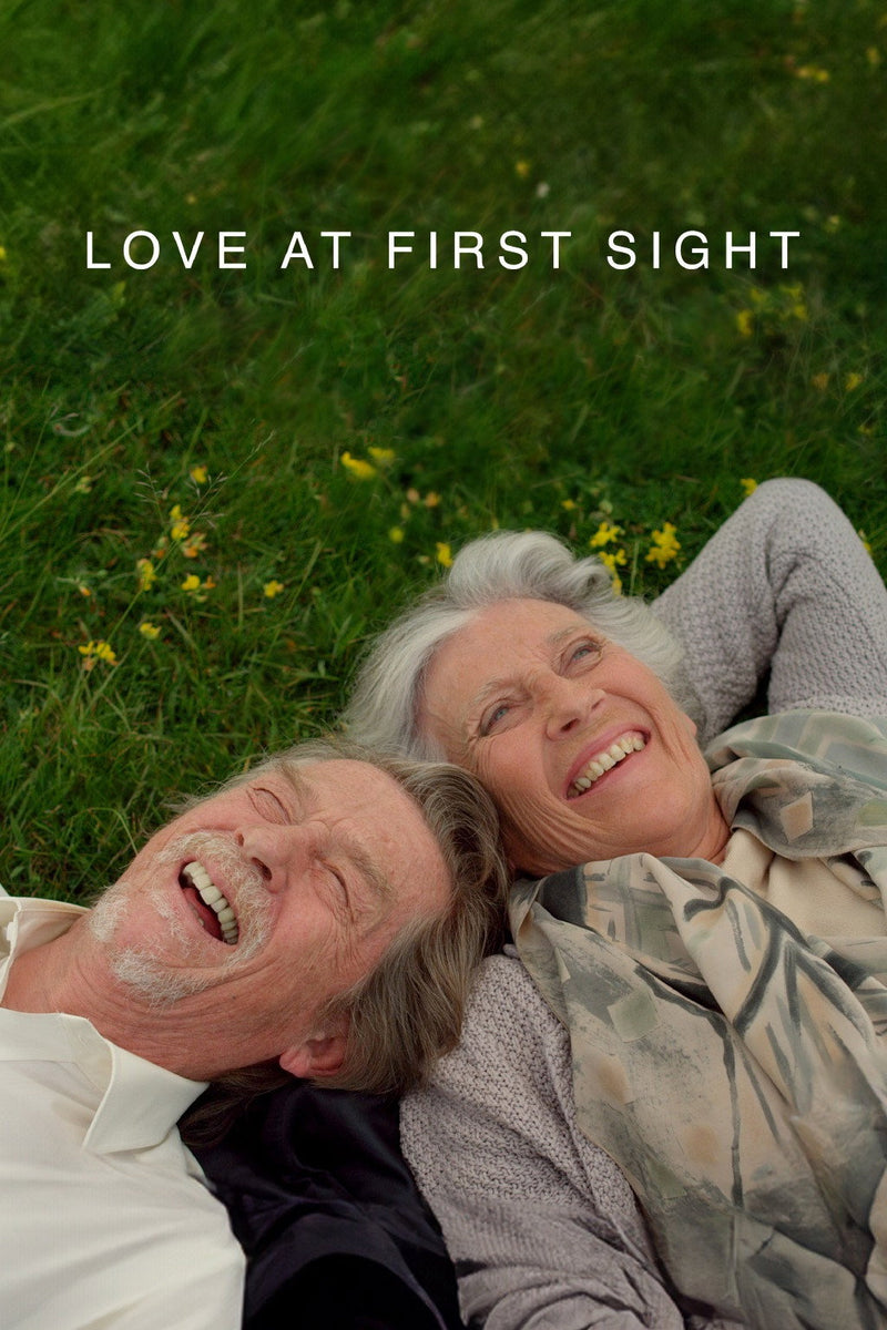 Love at First Sight DVD cover art