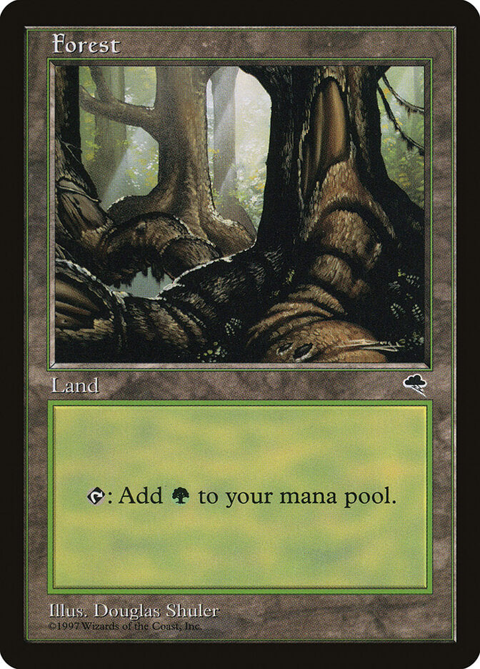 Forest 348 - Tempest MTG card
