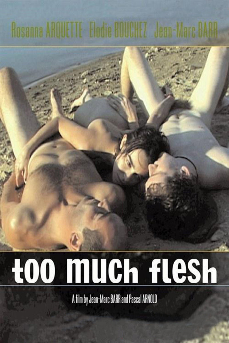 Too Much Flesh DVD cover art