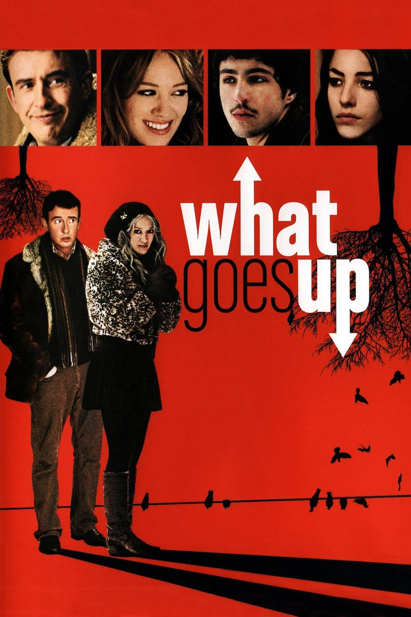What Goes Up DVD cover art