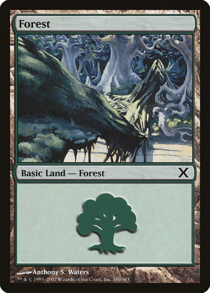 Forest 380 - Tenth Edition MTG card