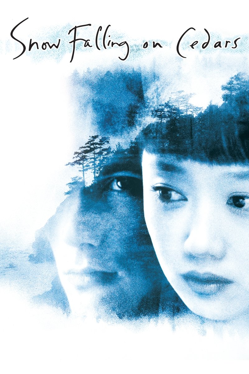Snow Falling on Cedars DVD cover art