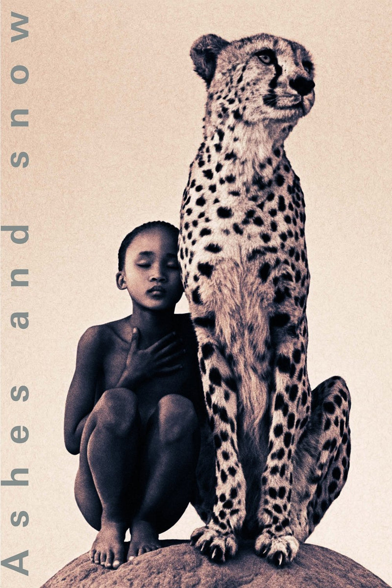 Ashes and Snow DVD cover art