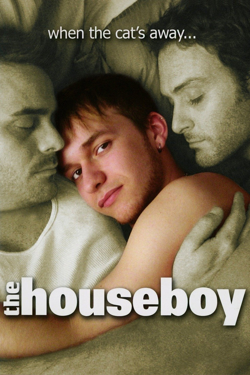 The Houseboy DVD cover art
