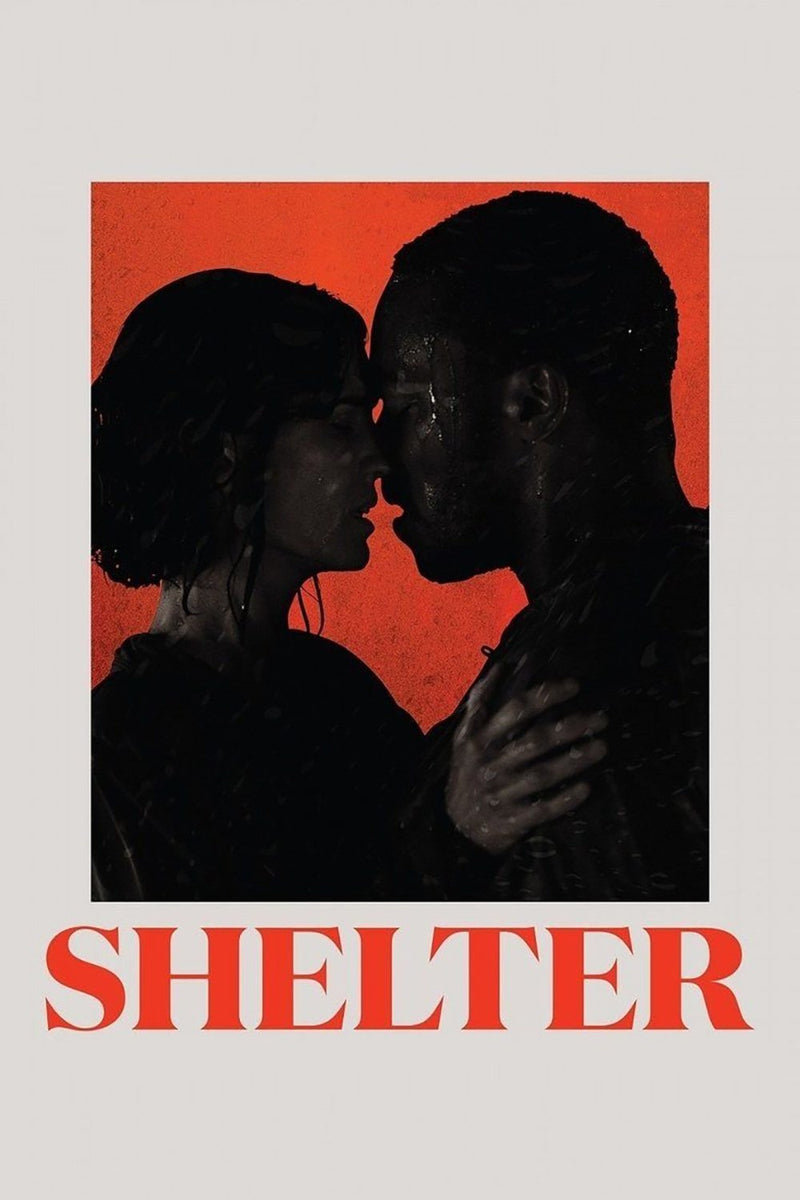 Shelter DVD cover art