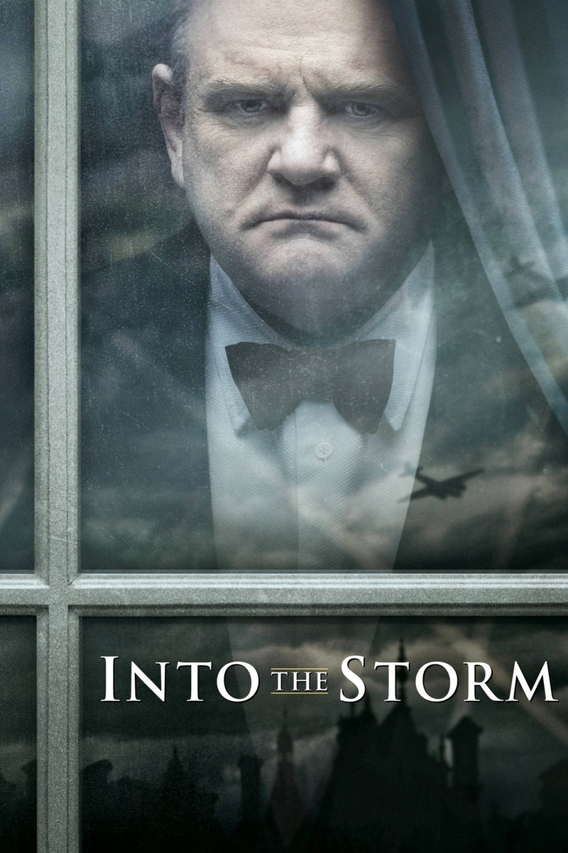 Into the Storm DVD cover art
