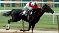 Ruffian still
