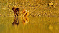 The Loss of Sexual Innocence still
