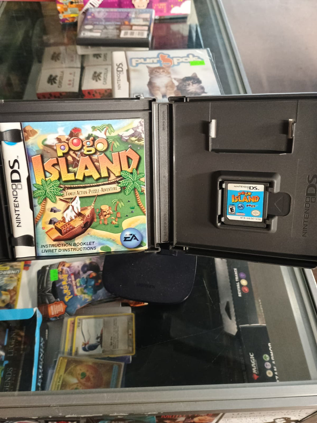 Pogo Island - Nintendo DS Classic