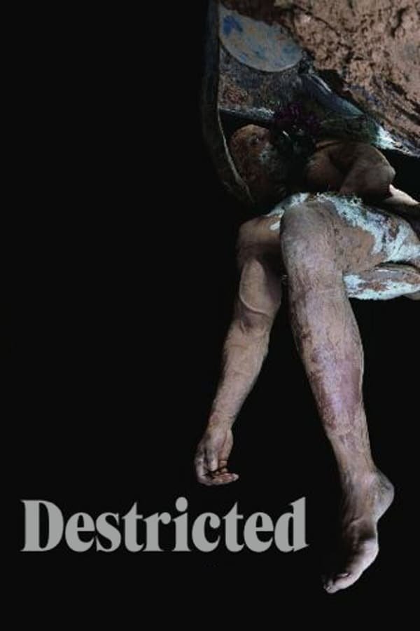 Destricted DVD cover art