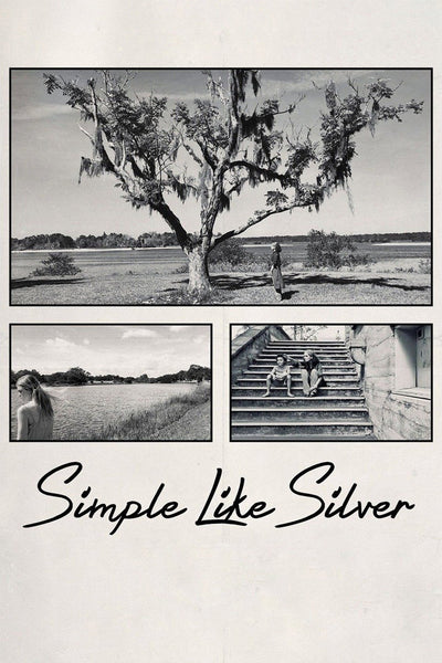 Simple Like Silver Blu-ray cover art