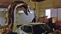 Python still