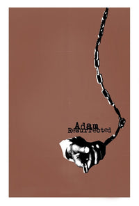Adam Resurrected DVD cover art