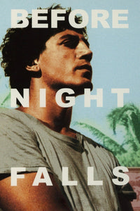 Before Night Falls DVD cover art
