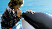 Free Willy still