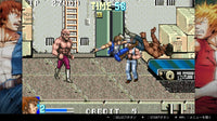 Double Dragon Collection - Nintendo Switch