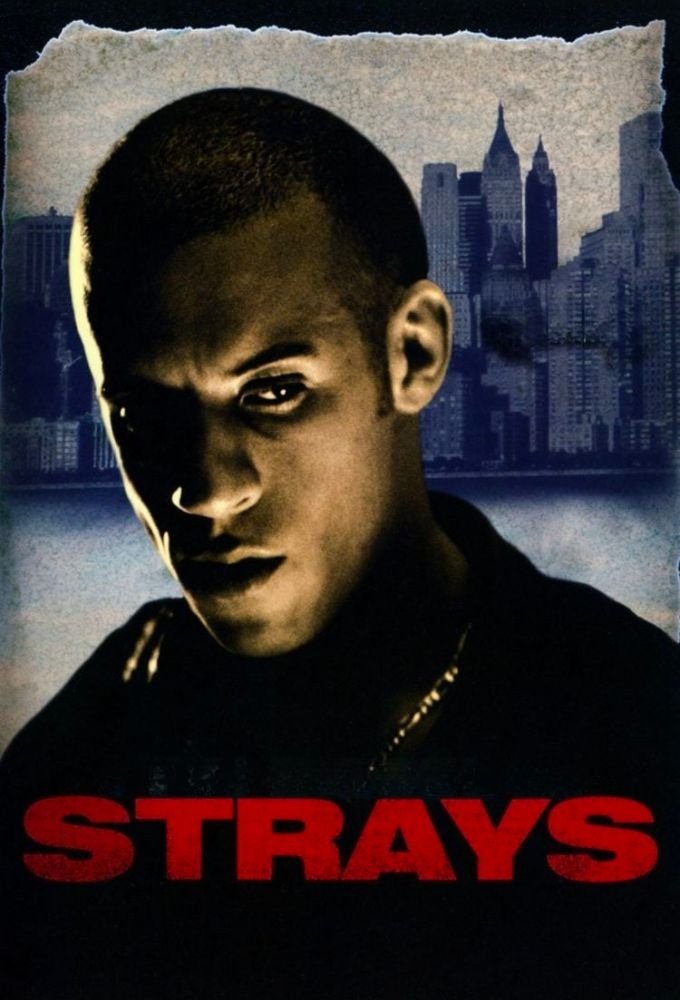 Strays DVD cover art